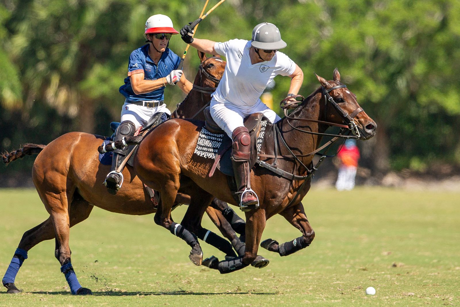 Ylvisaker Cup 2024 Wellington Polo Tour